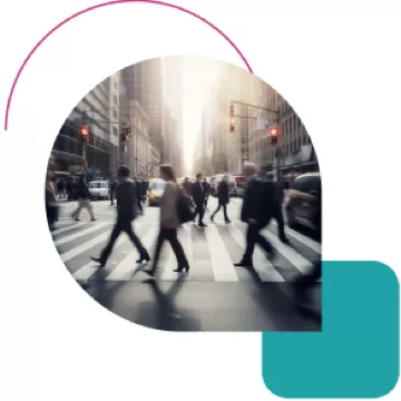 composition-analytics